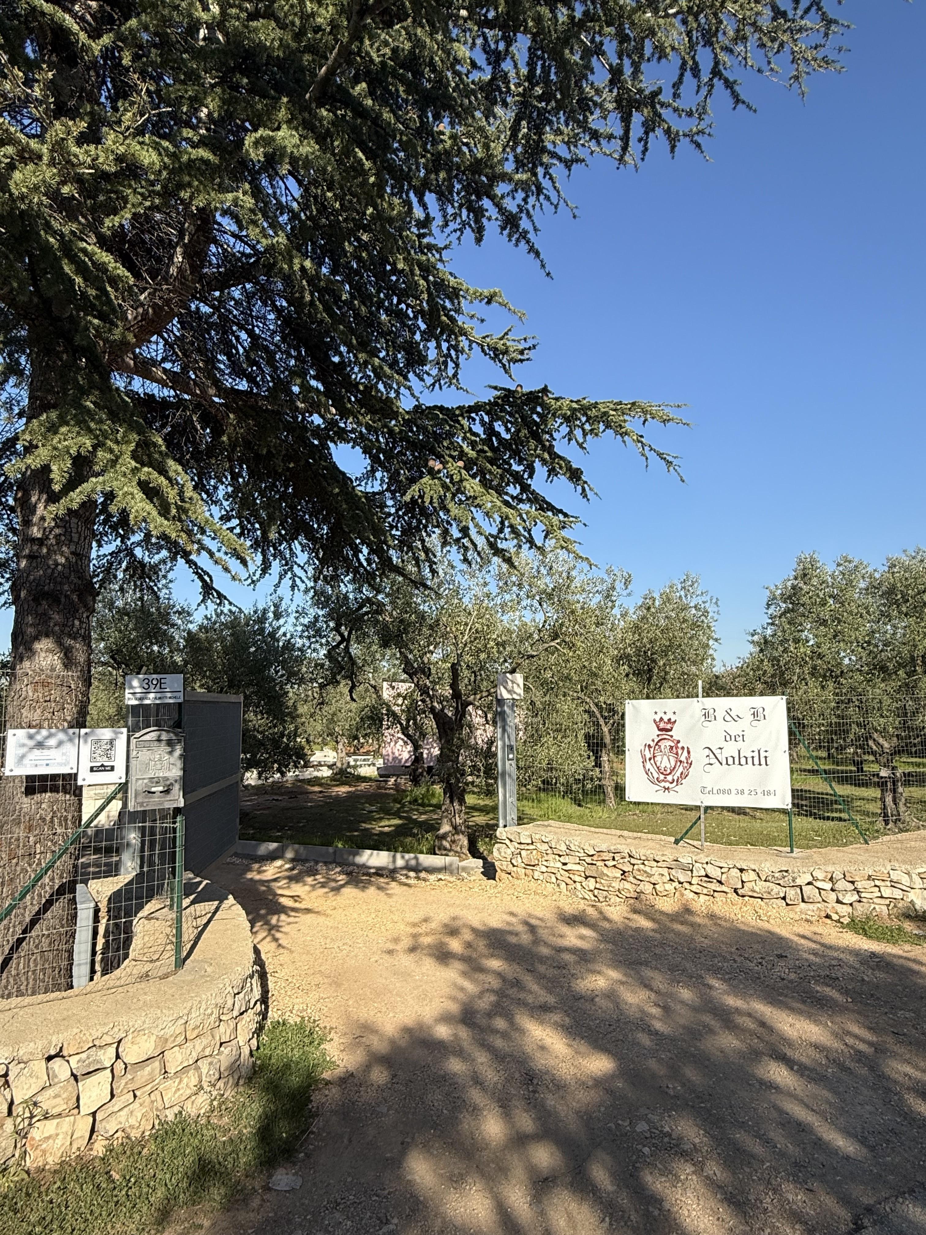 B & B Dei Nobili Bitetto Εξωτερικό φωτογραφία