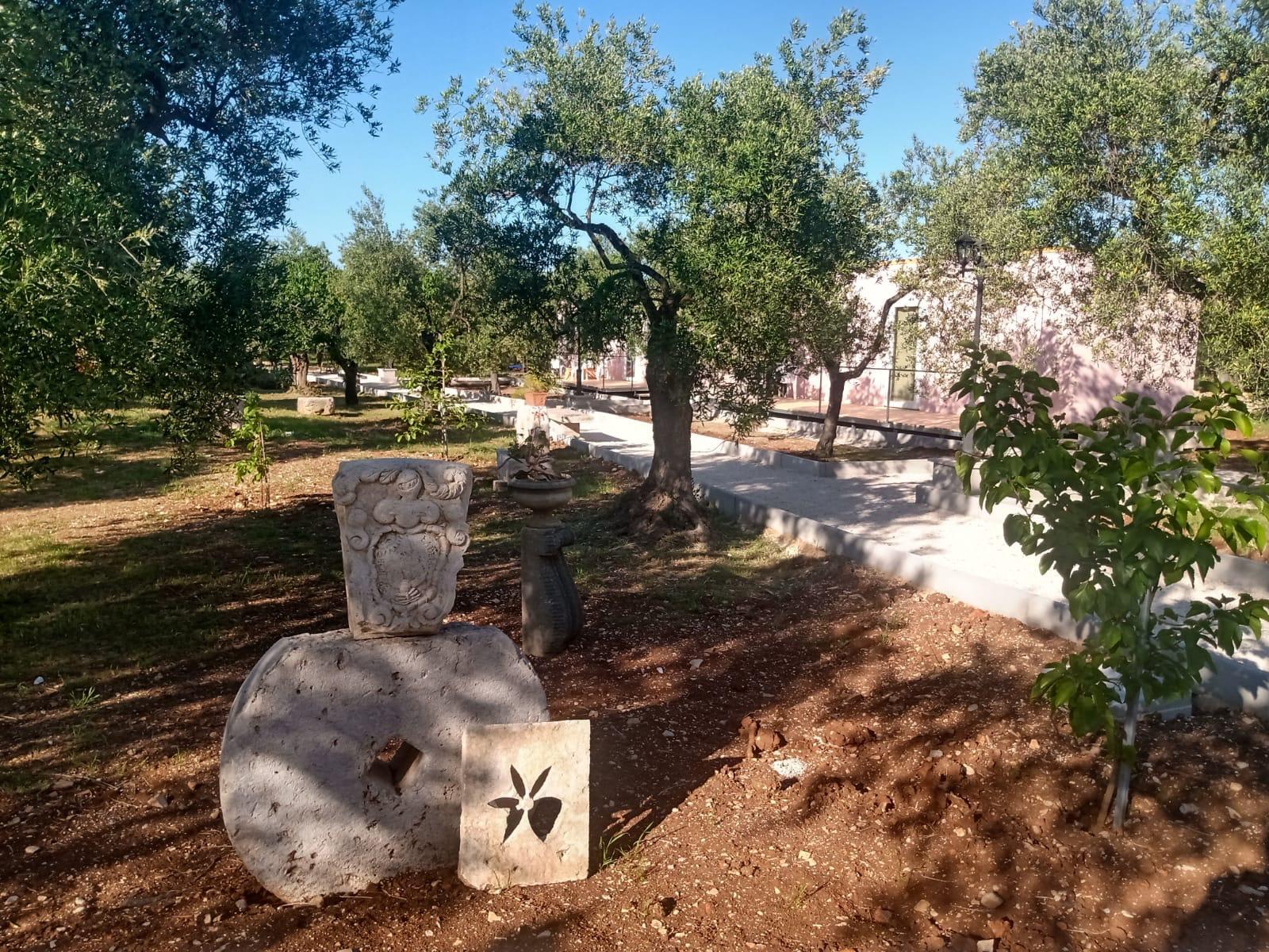B & B Dei Nobili Bitetto Εξωτερικό φωτογραφία