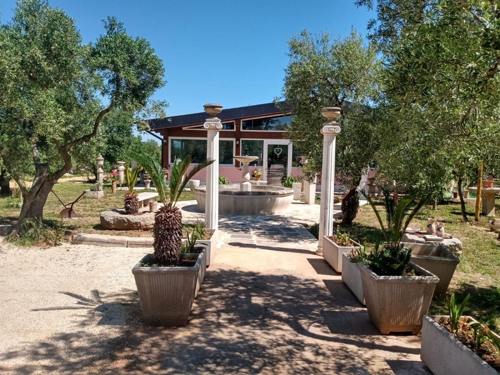 B & B Dei Nobili Bitetto Εξωτερικό φωτογραφία