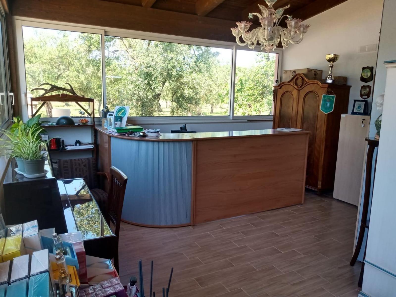 B & B Dei Nobili Bitetto Εξωτερικό φωτογραφία